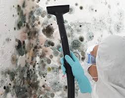  North Kingsville, OH Mold Remediation Pros